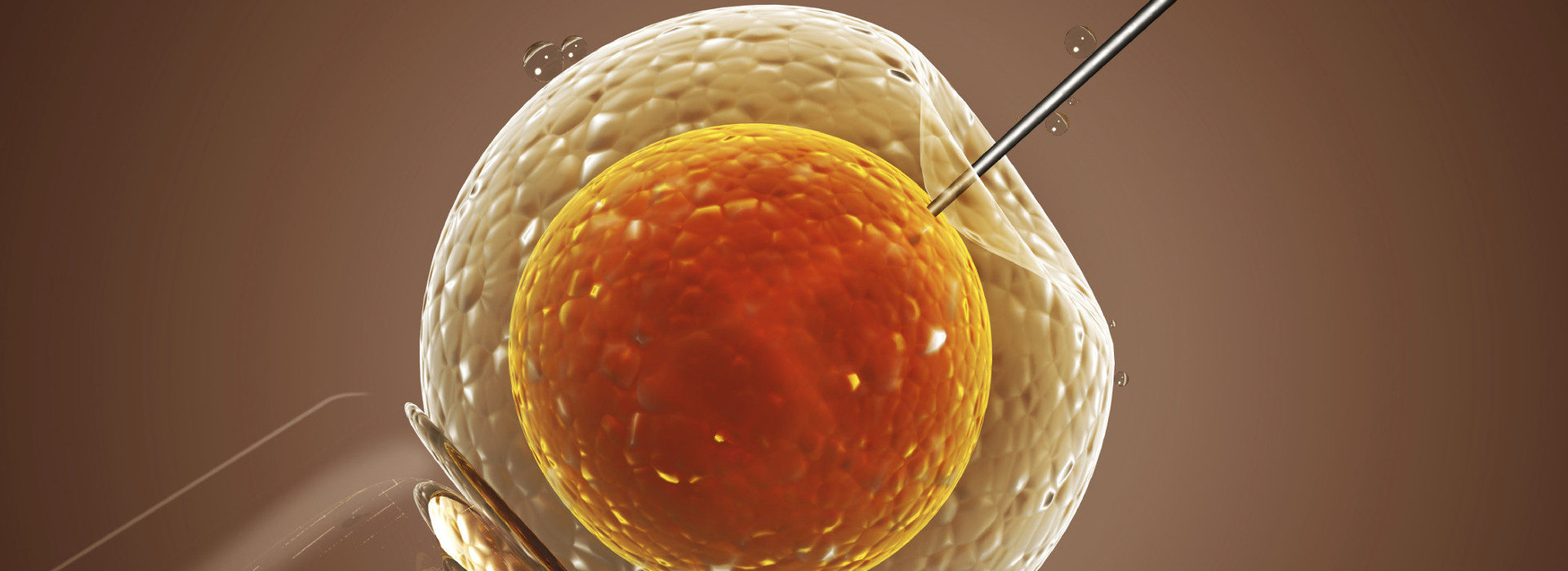 cirujano plástico en Málaga